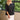 Adrift Boatneck Linen Top ADRIFT TOPS