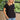 Adrift Denim Cut Off Shorts ADRIFT SHORTS