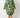 ANGUILLA DRESS JAGUAR JUNGLE WALNUT MELBOURNE DRESSES