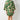 ANGUILLA DRESS JAGUAR JUNGLE WALNUT MELBOURNE DRESSES