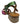 AUREA METALLIC  SANDAL NEO SHOE CORPORATION WOMENS FOOTWEAR