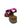 BERTA METALLIC  SANDAL NEO SHOE CORPORATION WOMENS FOOTWEAR