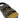 BOB KIDS SANDAL PLAKTON KIDS FOOTWEAR
