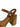 BRONWYN BLOCK HEEL LUXDIVE WOMENS FOOTWEAR