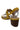 Chrissie Bristol Leather Sandal CHRISSIE WOMENS FOOTWEAR
