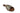 Django And Juliette Jaura Slide DJANGO AND JULIETTE WOMENS FOOTWEAR