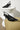 Hael And Jax Davinci Sling Back Pump HAEL AND JAX WOMENS FOOTWEAR