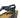 KYLA Navy wedge PLAKTON WOMENS FOOTWEAR
