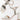 Mollini Miss Block Heel MOLLINI WOMENS FOOTWEAR