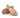 PLAKTON WENDY 761671 THONG PLAKTON WOMENS FOOTWEAR