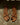 Siren Mikki Flat Strappy Sandals SIREN WOMENS FOOTWEAR