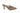 Top End Loya Closed Toe Mule TOP END WOMENS FOOTWEAR