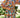 TUSCANY DRESS SPICY SUMMER WALNUT MELBOURNE DRESSES