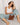 URBAN STATUS THE DAILY URBAN STATUS HANDBAGS