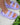 Walnut Melbourne Jamie Kids Sandal WALNUT MELBOURNE KIDS FOOTWEAR