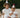 WHIMSY DRESS WALNUT MELBOURNE KIDS CLOTHING