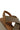 XTI Walla Elastic Wedge XTI WOMENS FOOTWEAR