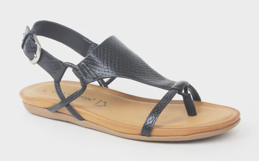 CLASSIC GV  SANDAL - GINO VENTORI - 36, 37, 38, 39, 40, 41, 42, BF, BLACK, PAPAYA, sandals, SILVER, TAN, WHITE, womens footwear - Stomp Shoes Darwin