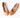 Walnut Melbourne Ava Ballet Flat - Tan WALNUT MELBOURNE WOMENS FOOTWEAR