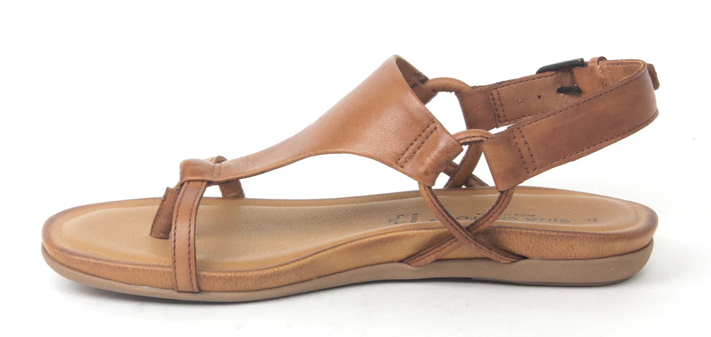 CLASSIC GV  SANDAL - GINO VENTORI - 36, 37, 38, 39, 40, 41, 42, BF, BLACK, PAPAYA, SILVER, TAN, WHITE, womens footwear - Stomp Shoes Darwin