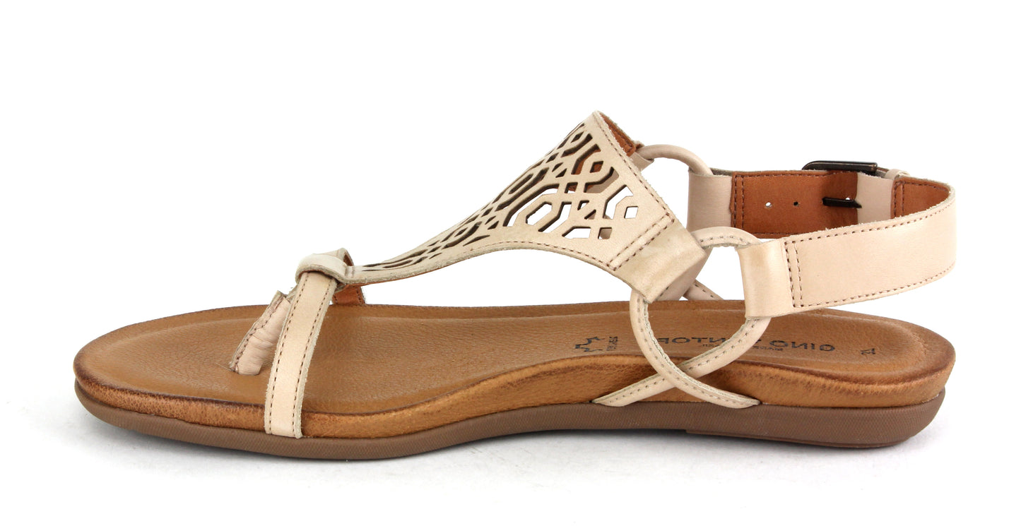 FARLEY GV SANDAL - GINO VENTORI - 36, 37, 38, 39, 40, 41, 42, BF, NAVY, Rose Gold, Sand, sandals, SILVER, womens footwear - Stomp Shoes Darwin