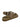 MOLLINI HALLEE THONG STYLE FLAT - MOLLINI - ankle strap, BLACK, LATTE, leather, MO13931, womens footwear - Stomp Shoes Darwin