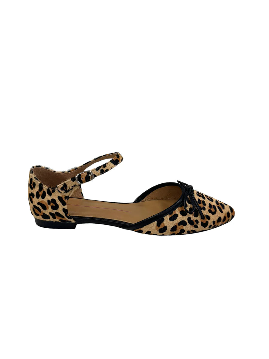 GEMILA FLAT - MOLLINI - womens footwear - Stomp Shoes Darwin