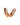 AVA BALLET FLAT  TAN WALNUT MELBOURNE WOMENS FOOTWEAR