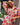 BERLIN DRESS FRUTAS FESCAS WALNUT MELBOURNE DRESSES