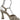 BRAZILIO TWIGGY STRAPPY HEEL BRAZILIO WOMENS FOOTWEAR