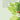 CIRCA CANDLE TRIO CHRISTMAS 3X 70G CIRCA CANDLES 56355
