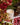 CIRCA RASPBERRY AND RHUBARB 300G CANDLE CIRCA CANDLES 56350