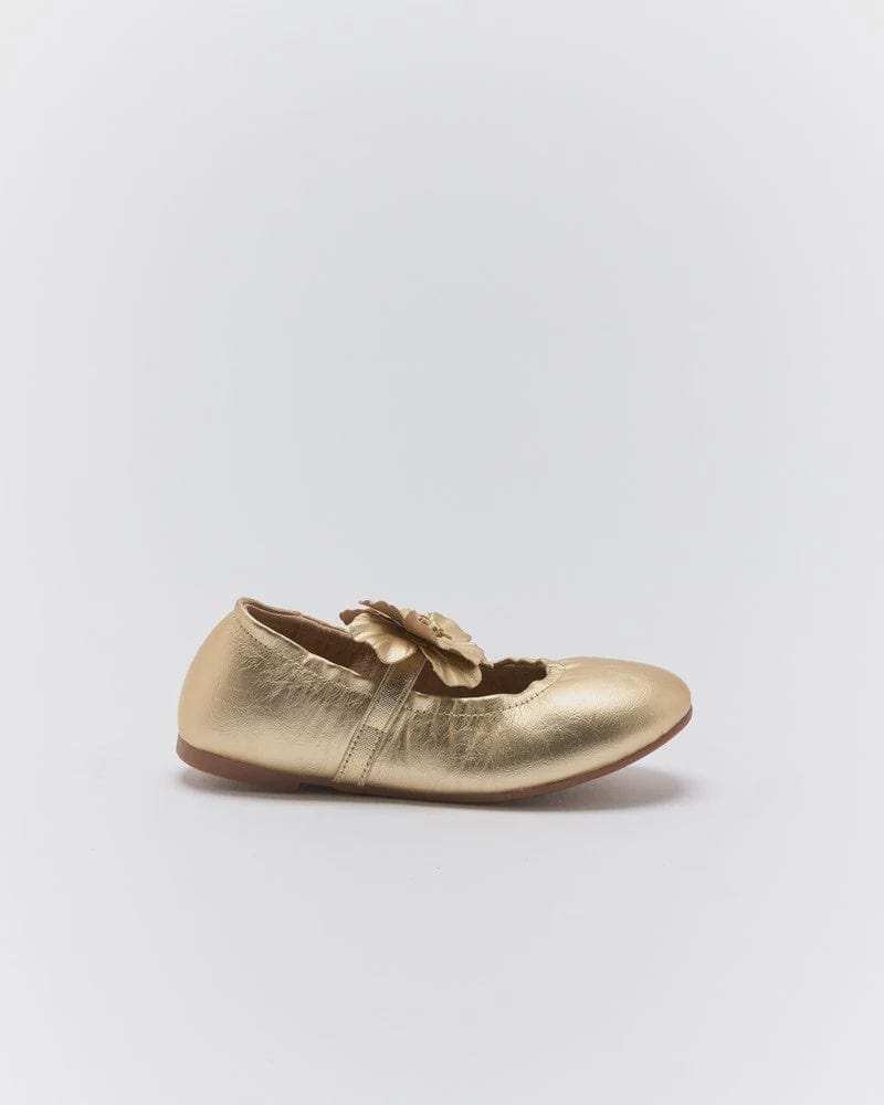 DAISY KIDS BALLET – Stomp Shoes Darwin