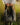 DAKOTA TOTE BAG LOUENHIDE OLIVE Handbags 59477