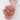 DJANGO AND JULIETTE CLOVE FLORAL WEDGE DJANGO AND JULIETTE WOMENS FOOTWEAR
