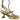 ELENA STRAPPY HEEL BRAZILIO WOMENS FOOTWEAR