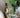 KYOTO DIFFUSER GLASSHOUSE CANDLES 13012