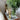 KYOTO DIFFUSER GLASSHOUSE CANDLES 13012