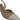 LILIBETH SLING BACK BRAZILIO WOMENS FOOTWEAR