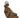 MOLLINI HUIRO LEATHER SANDALS MOLLINI WOMENS FOOTWEAR