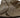 Nude Footwear Dafnee Slide NUDE FOOTWEAR GOLD / 36 WOMENS FOOTWEAR 56423