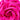OB2172 ROSITA ROSETTE FRAME BAG OLGA BERG CLUTCH