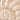 OLGA BERG INDI Acrylic Shell Clutch OLGA BERG Natural General OB6528_NAT