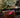Rendezvous EDP 14mls GLASSHOUSE rendezvous CANDLES 22793