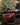 Rendezvous EDP 14mls GLASSHOUSE rendezvous CANDLES 22793