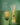 TAHAA CANDLES & DIFFUSER GIFT SET GLASSHOUSE CANDLES 63786