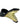TALIA WEDGE BRAZILIO WOMENS FOOTWEAR