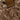 XTI 144103 SHARNI SLIDE XTI WOMENS FOOTWEAR