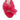 PINK INC SURGE SLIP ON PINK INC WOMENS FOOTWEAR